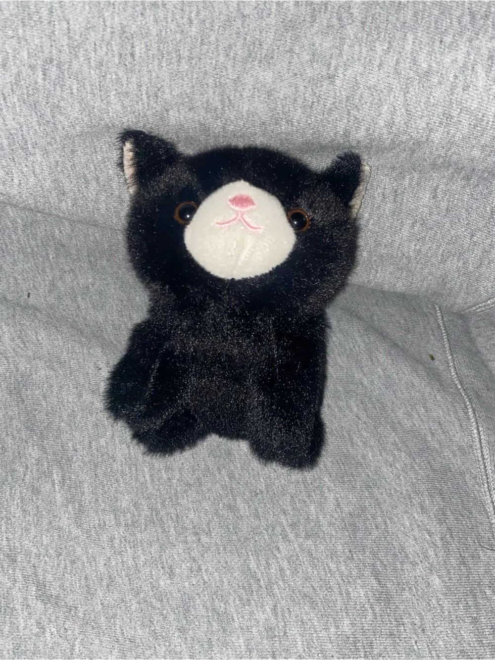 Small black plush kitty cat